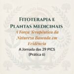 Fitoterapia e Plantas Medicinais – A Força Terapêutica da Natureza Baseada em Evidências